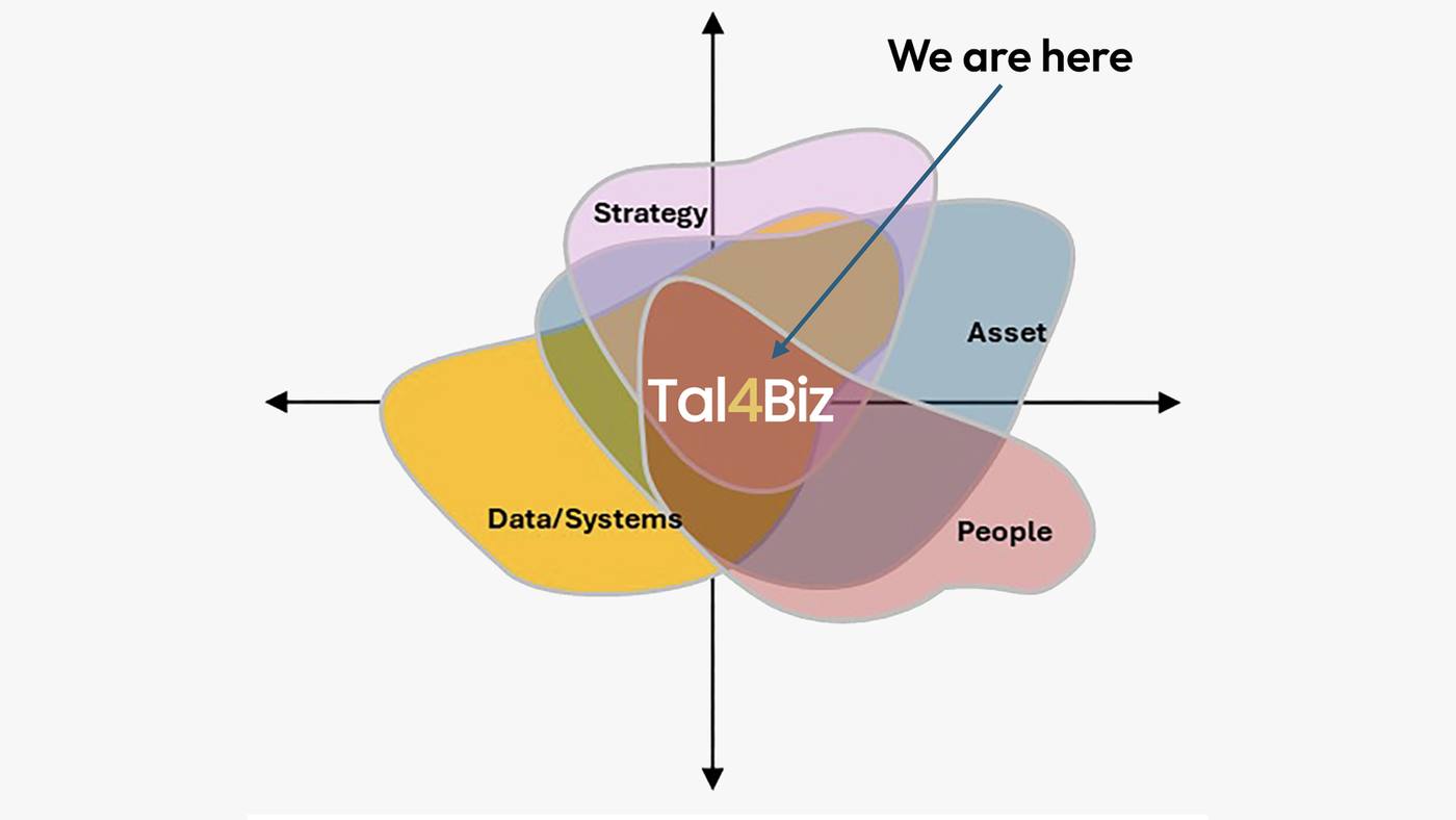 Il percorso strategico di Tal4Biz